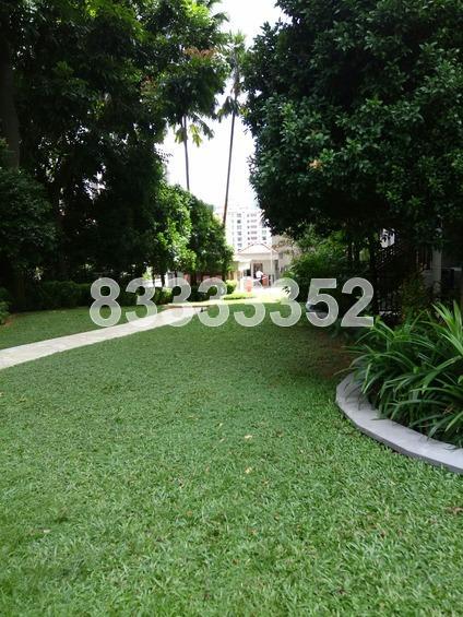 Oleanas Residence (D9), Condominium #160192732